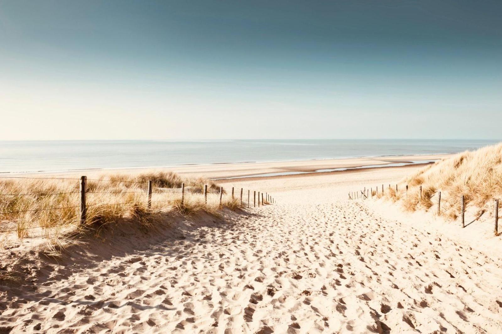 Noordster Beachhouse Noordwijk Bagian luar foto